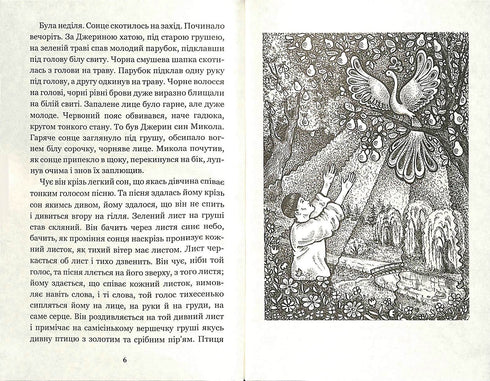 Mykola Dzherya: una storia